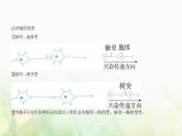 人教版高中生物选择性必修1稳态与调节第2章神经调节第3节神经冲动的产生和传导课件