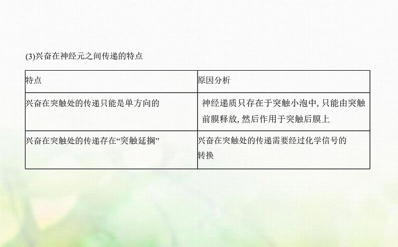 人教版高中生物选择性必修1稳态与调节第2章神经调节第3节神经冲动的产生和传导课件第8页