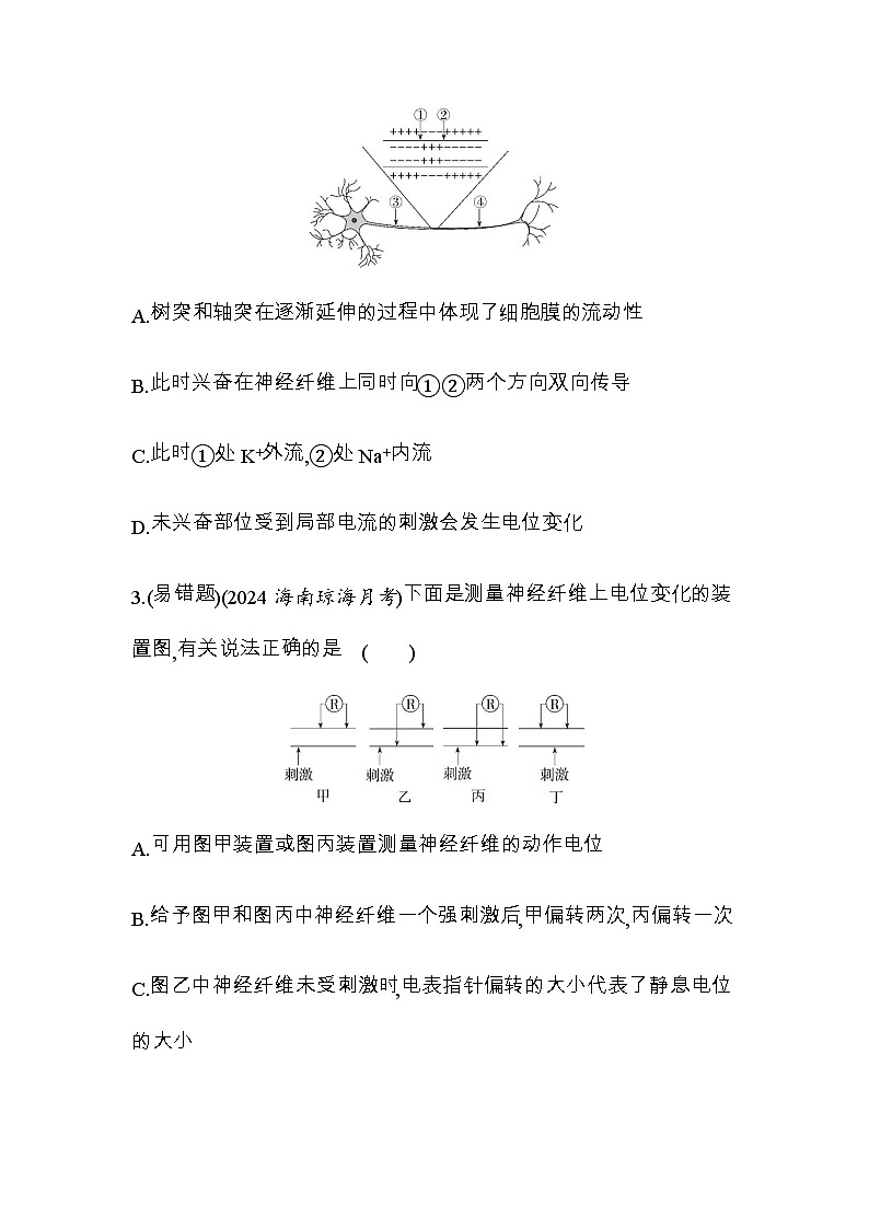 人教版高中生物选择性必修1稳态与调节第2章神经调节第3节第1课时兴奋在神经纤维上的传导练习含答案第2页