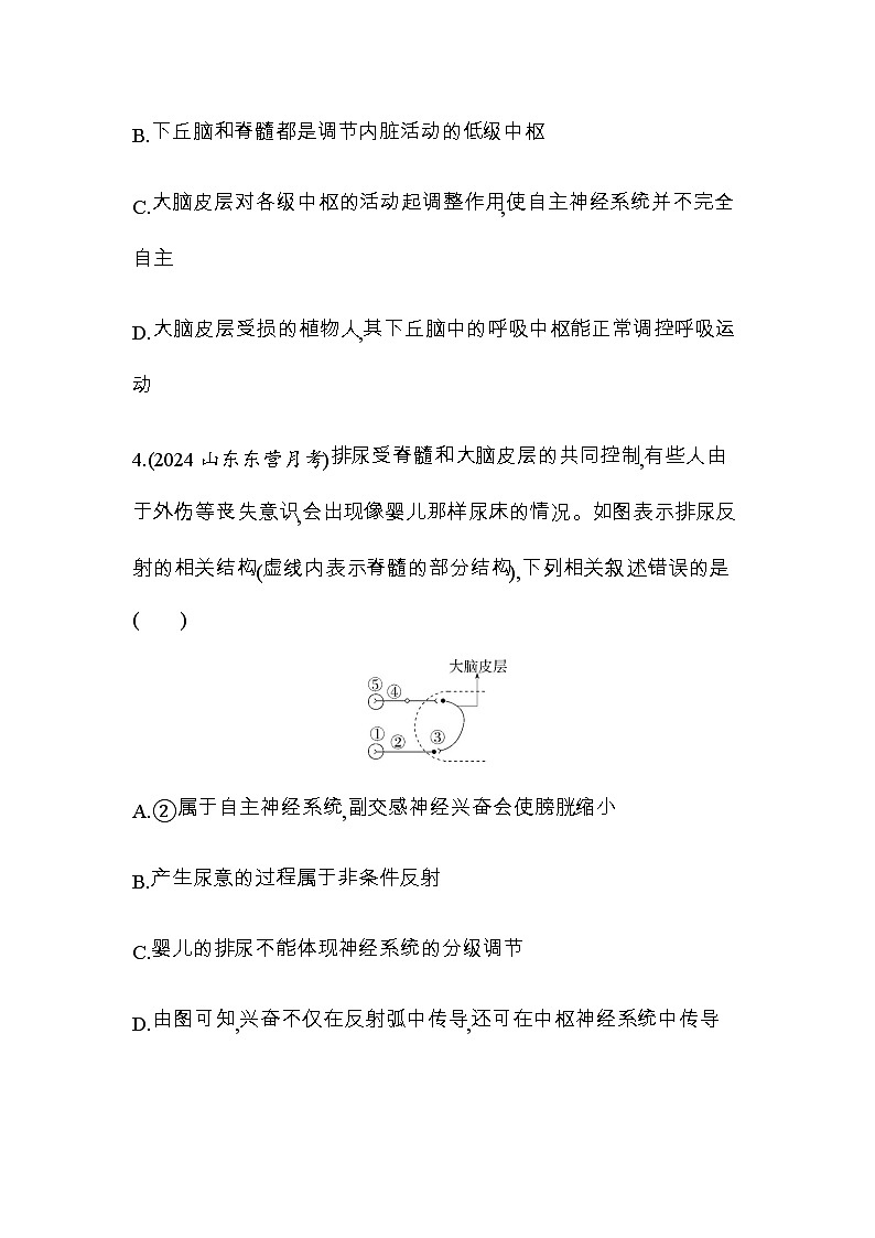 人教版高中生物选择性必修1稳态与调节第2章神经调节第4节神经系统的分级调节练习含答案03