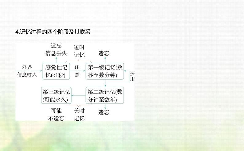 人教版高中生物选择性必修1稳态与调节第2章神经调节第5节人脑的高级功能课件第5页
