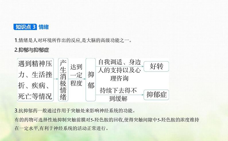人教版高中生物选择性必修1稳态与调节第2章神经调节第5节人脑的高级功能课件第6页