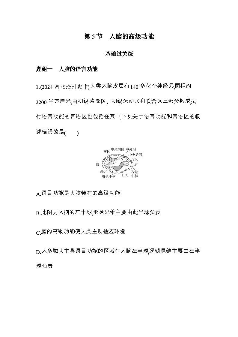 人教版高中生物选择性必修1稳态与调节第2章神经调节第5节人脑的高级功能练习含答案01