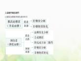 人教版高中生物选择性必修1稳态与调节第3章体液调节第2节激素调节的过程课件