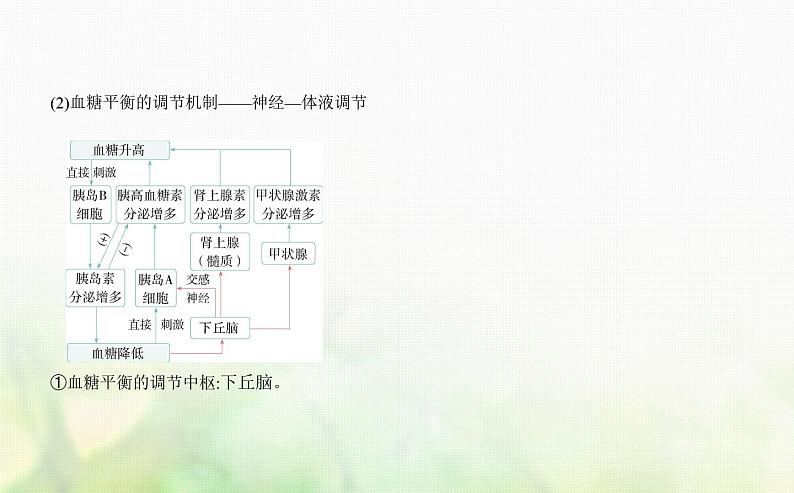 人教版高中生物选择性必修1稳态与调节第3章体液调节第2节激素调节的过程课件第3页