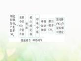 人教版高中生物选择性必修1稳态与调节第3章体液调节第3节体液调节与神经调节的关系课件