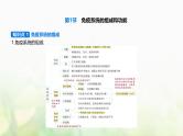 人教版高中生物选择性必修1稳态与调节第4章免疫调节第1节免疫系统的组成和功能课件