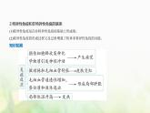 人教版高中生物选择性必修1稳态与调节第4章免疫调节第1节免疫系统的组成和功能课件