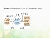 人教版高中生物选择性必修1稳态与调节第4章免疫调节第2节特异性免疫课件