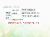人教版高中生物选择性必修1稳态与调节第4章免疫调节第2节特异性免疫课件
