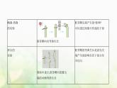 人教版高中生物选择性必修1稳态与调节第5章植物生命活动的调节第1节植物生长素课件