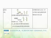 人教版高中生物选择性必修1稳态与调节第5章植物生命活动的调节第1节植物生长素课件