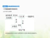 人教版高中生物选择性必修1稳态与调节第5章植物生命活动的调节第2节其他植物激素课件