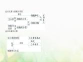 人教版高中生物选择性必修1稳态与调节第5章植物生命活动的调节第2节其他植物激素课件