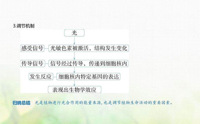 人教版高中生物选择性必修1稳态与调节第5章植物生命活动的调节第4节环境因素参与调节植物的生命活动课件第2页