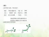 人教版高中生物选择性必修1稳态与调节第5章植物生命活动的调节第4节环境因素参与调节植物的生命活动课件