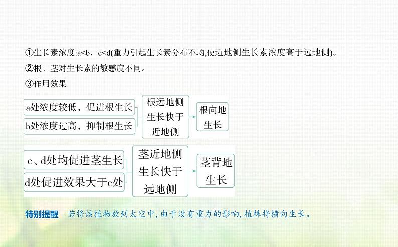 人教版高中生物选择性必修1稳态与调节第5章植物生命活动的调节第4节环境因素参与调节植物的生命活动课件第5页