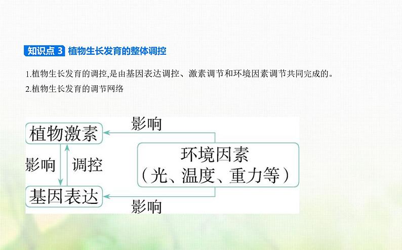 人教版高中生物选择性必修1稳态与调节第5章植物生命活动的调节第4节环境因素参与调节植物的生命活动课件第6页