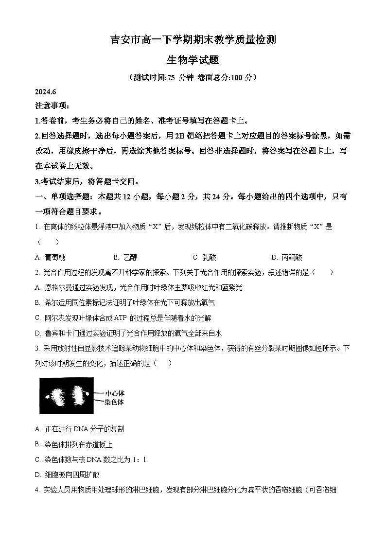 2024吉安高一下学期期末考试生物含解析01