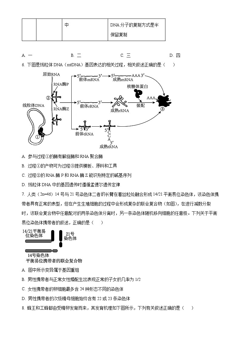 2024天津河东区高一下学期7月期末考试生物含解析03