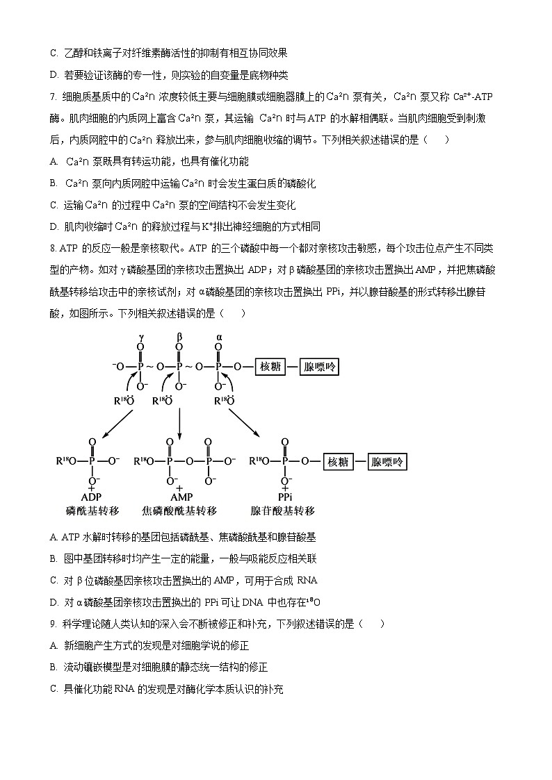 天津市南开区2023-2024学年高二下学期7月期末考试生物试卷（Word版附解析）03