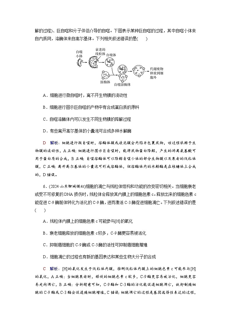 高考生物一轮复习课时练习(十四)含答案第3页