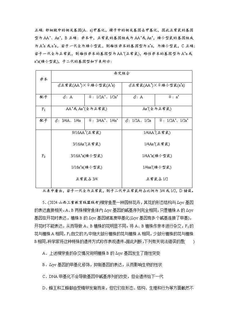 高考生物一轮复习课时练习(二十四)含答案第3页
