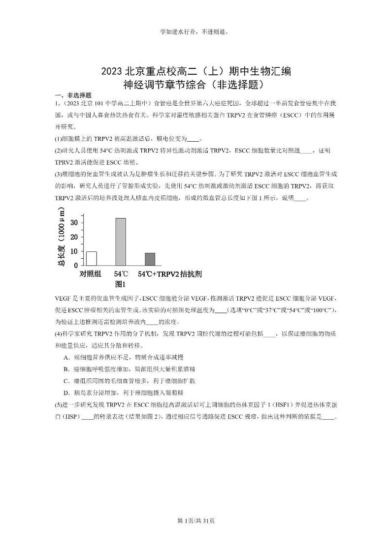 [生物]2023北京重点校高二上学期期中生物真题分类汇编：神经调节章节综合(非选择题)01
