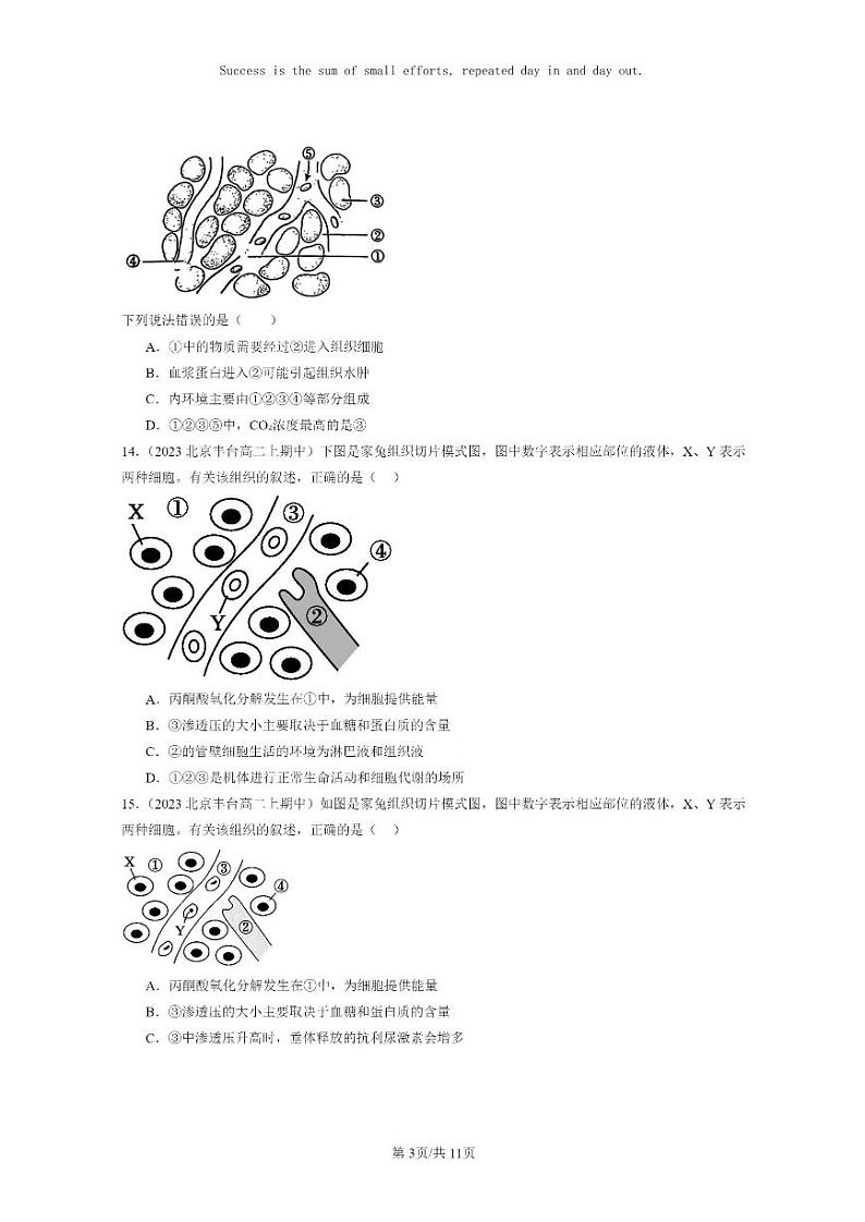 [生物]2023北京重点校高二上学期期中生物真题分类汇编：细胞的生活环境第3页
