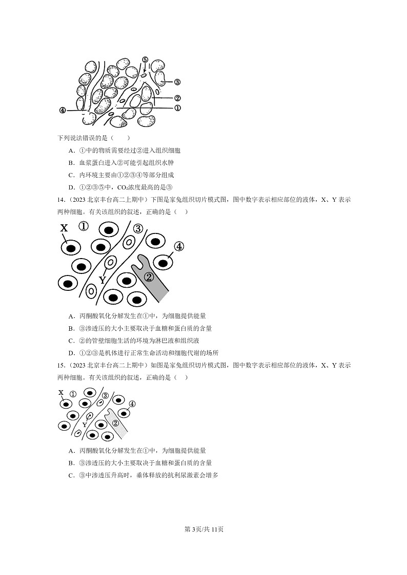 [生物]2023北京重点校高二上学期期中生物真题分类汇编：细胞的生活环境第3页