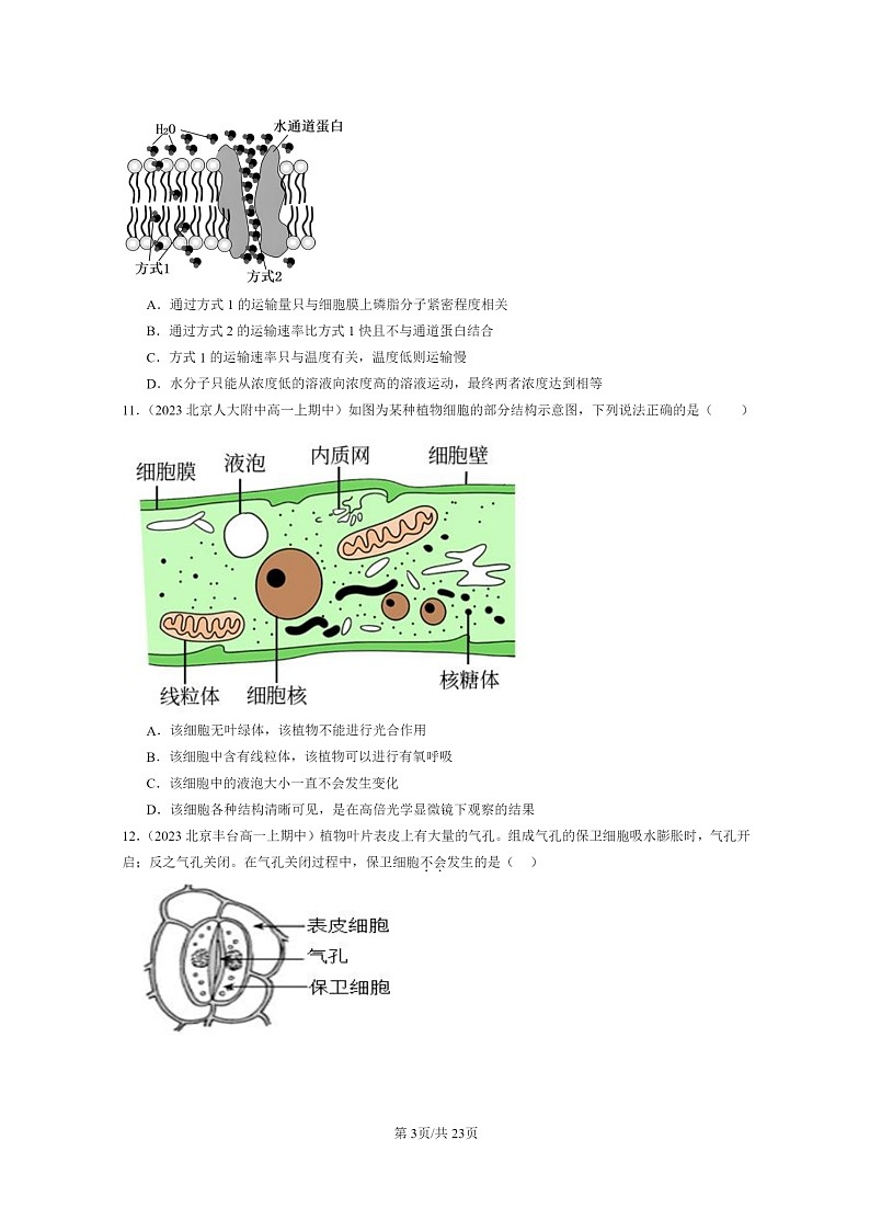 [生物]2023北京重点校高一上学期期中生物真题分类汇编：被动运输第3页