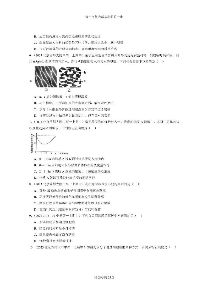 [生物]2023北京重点校高一上学期期中生物真题分类汇编：被动运输第2页