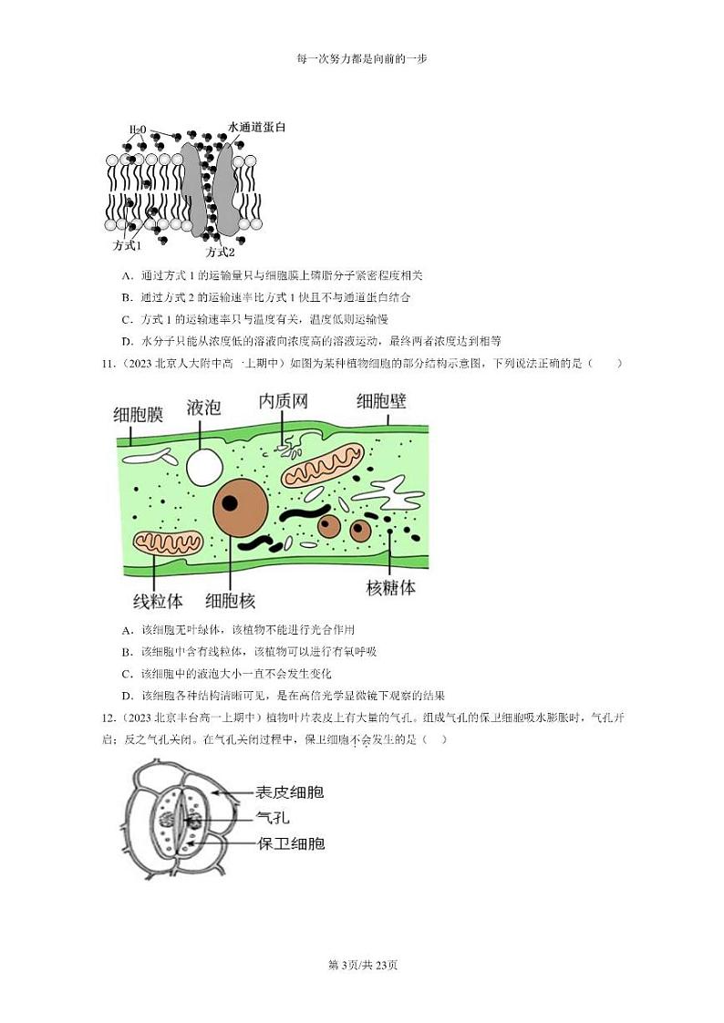 [生物]2023北京重点校高一上学期期中生物真题分类汇编：被动运输第3页