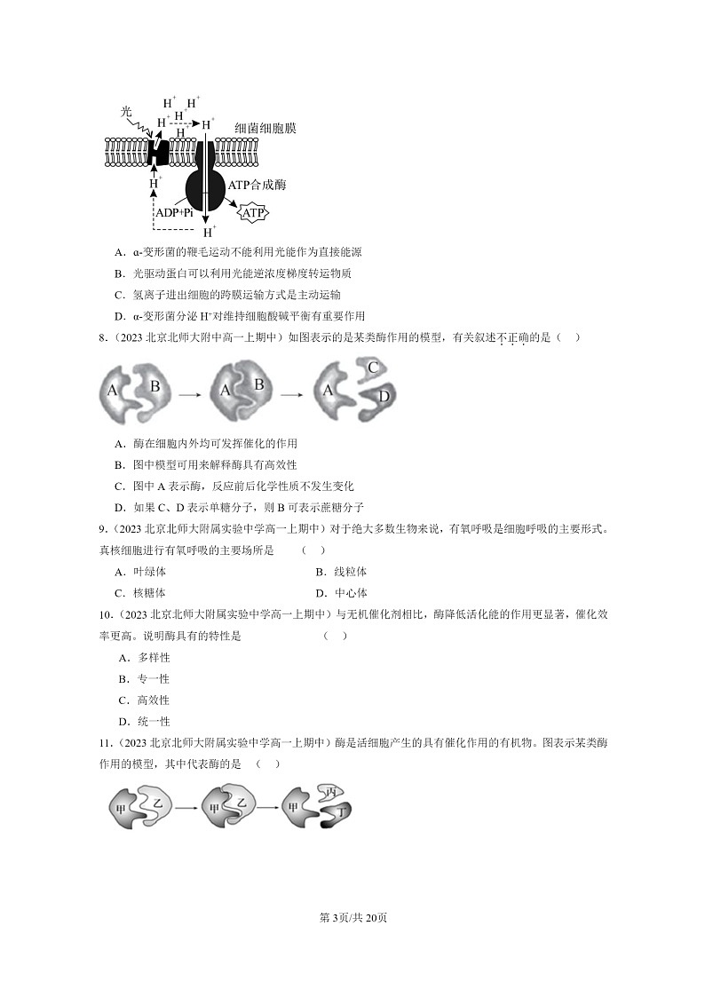 [生物]2023北京重点校高一上学期期中生物真题分类汇编：细胞的能量供应和利用章节综合第3页