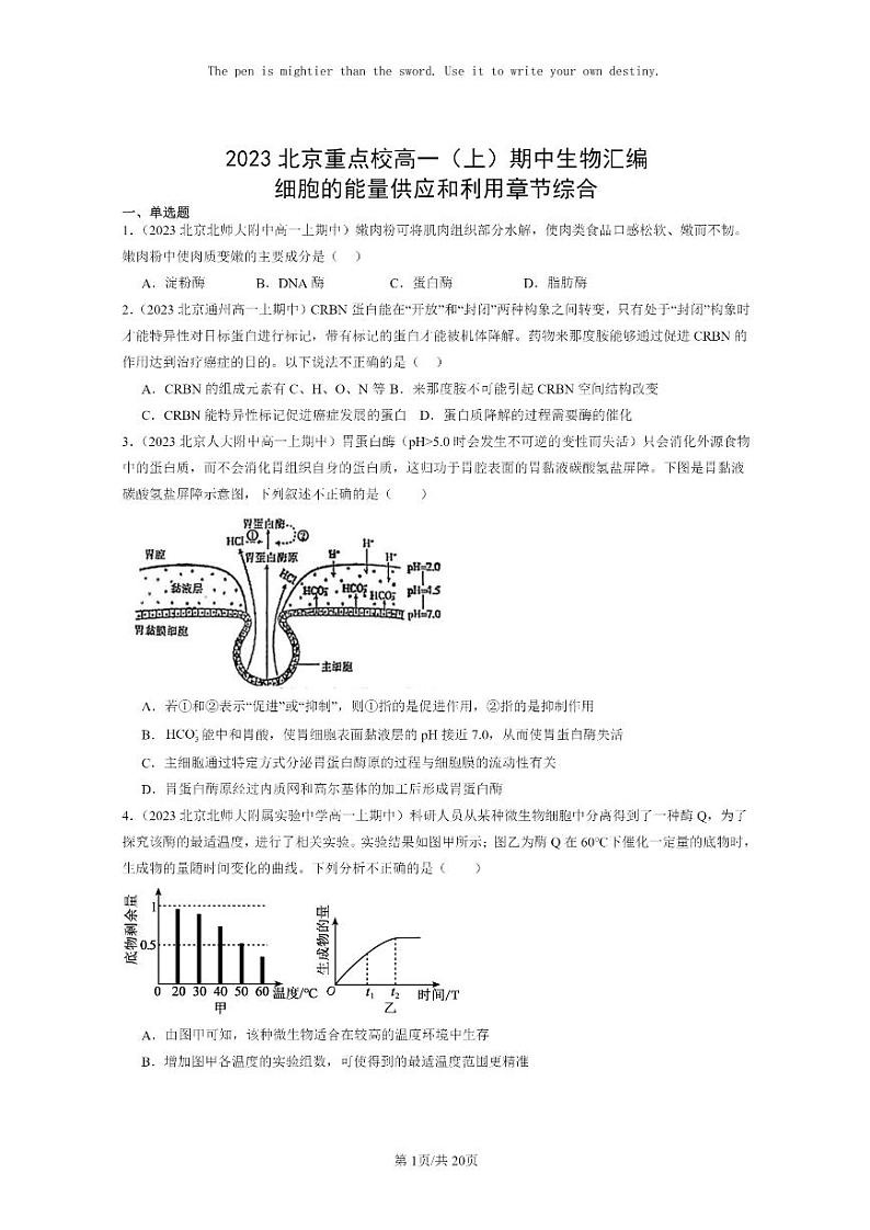 [生物]2023北京重点校高一上学期期中生物真题分类汇编：细胞的能量供应和利用章节综合第1页