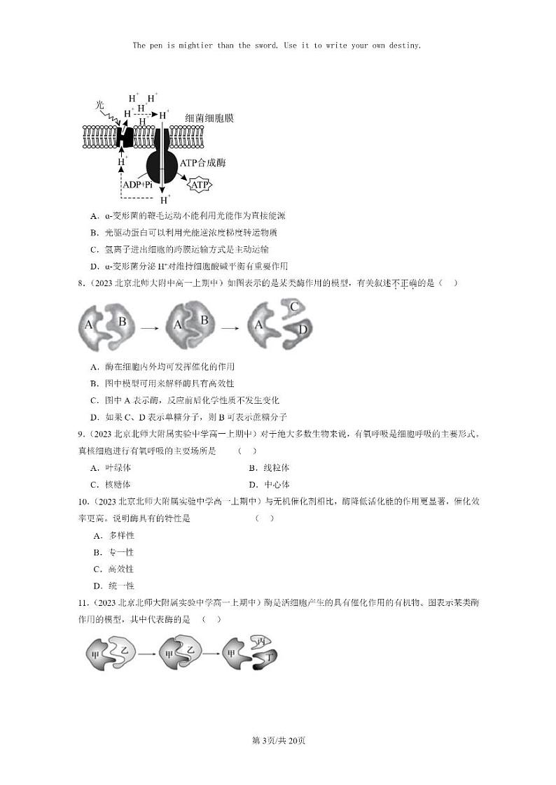 [生物]2023北京重点校高一上学期期中生物真题分类汇编：细胞的能量供应和利用章节综合第3页