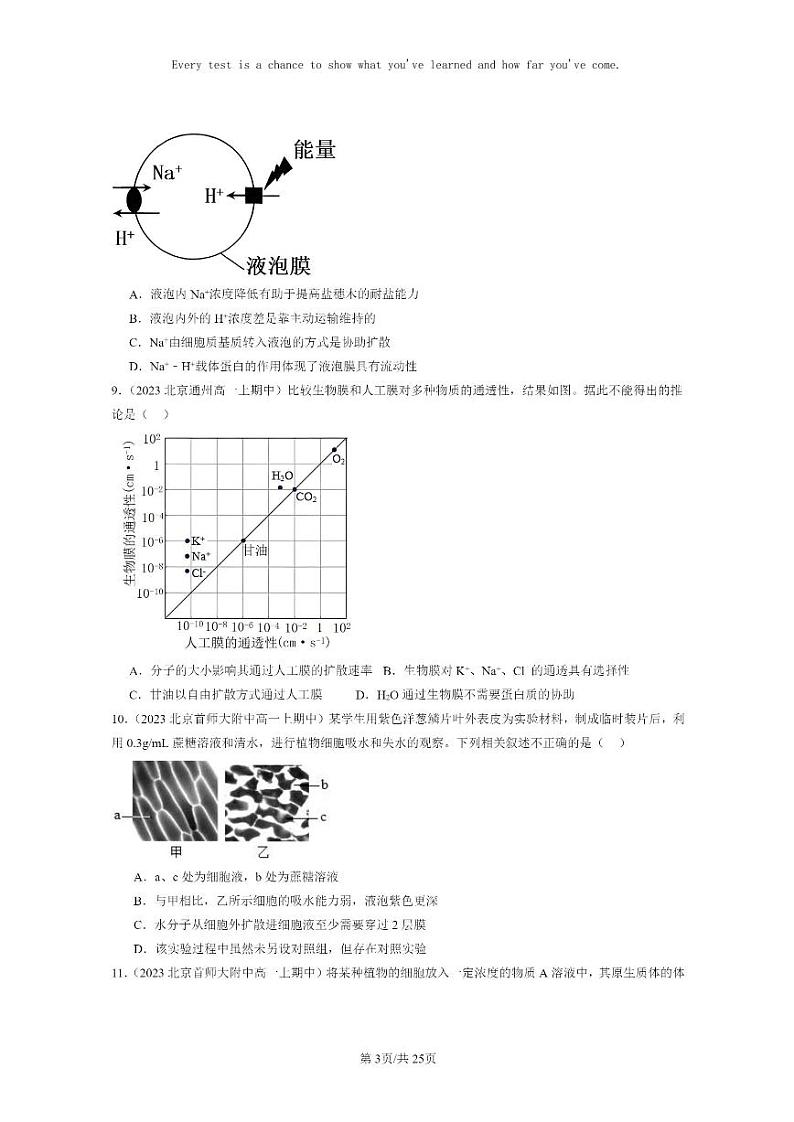 [生物]2023北京重点校高一上学期期中生物真题分类汇编：细胞的物质输入与输出章节综合(单选题)03