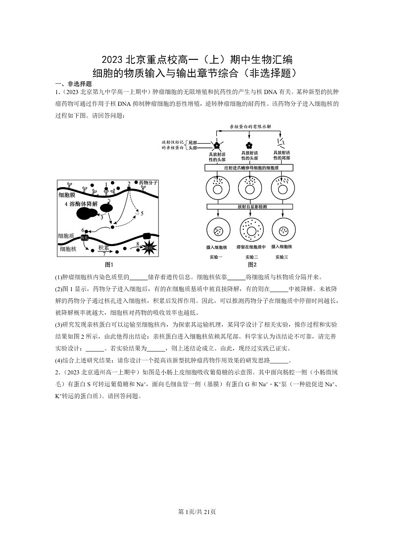 [生物]2023北京重点校高一上学期期中生物真题分类汇编：细胞的物质输入与输出章节综合(非选择题)第1页