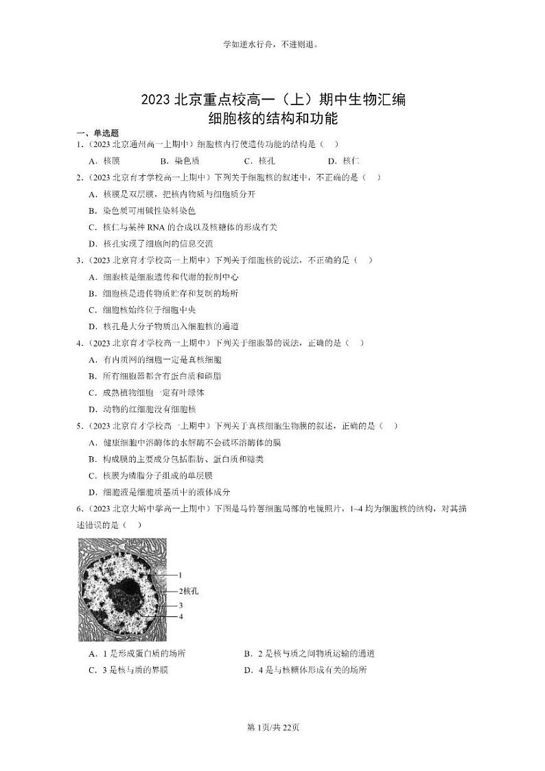 [生物]2023北京重点校高一上学期期中生物真题分类汇编：细胞核的结构和功能01