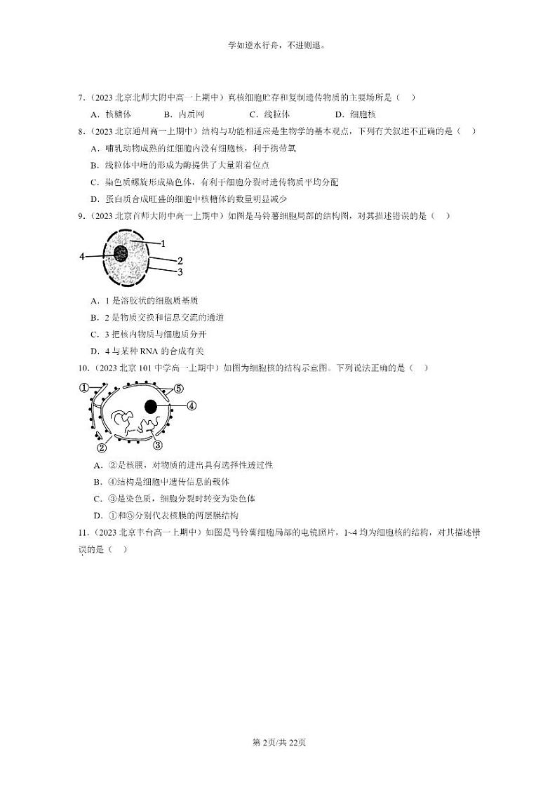 [生物]2023北京重点校高一上学期期中生物真题分类汇编：细胞核的结构和功能02