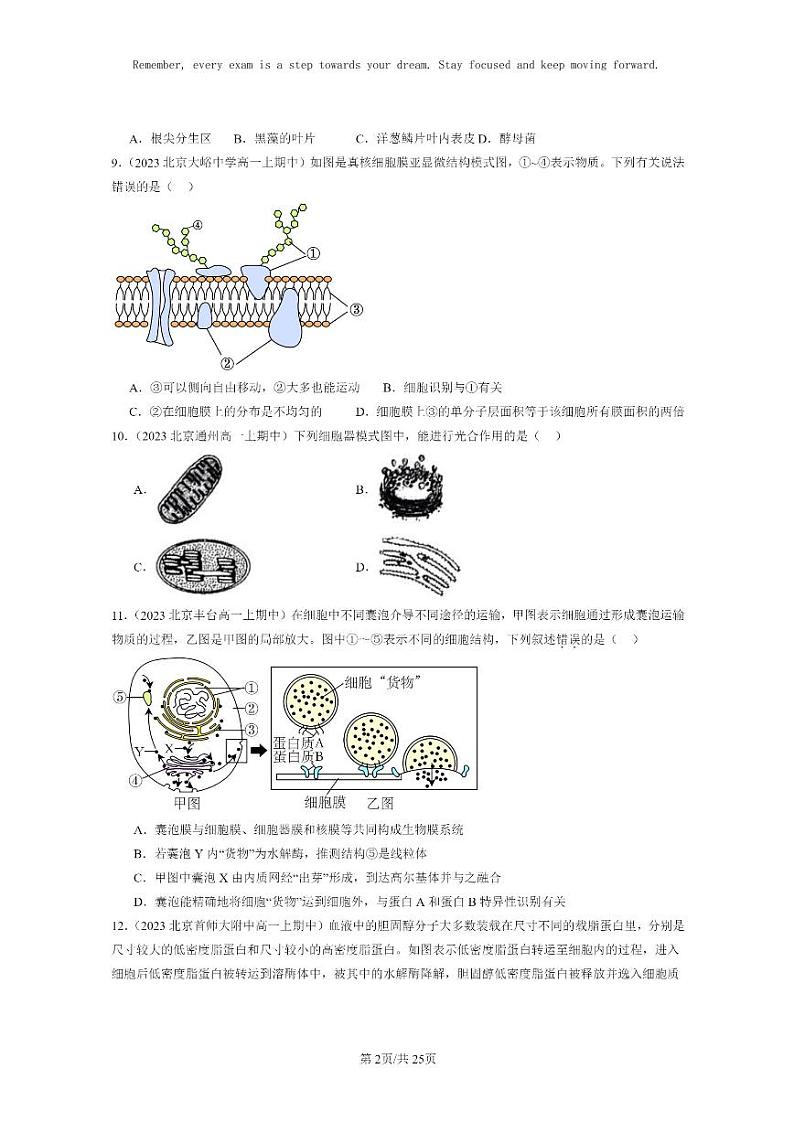 [生物]2023北京重点校高一上学期期中生物真题分类汇编：细胞器之间的分工合作(单选题)第2页