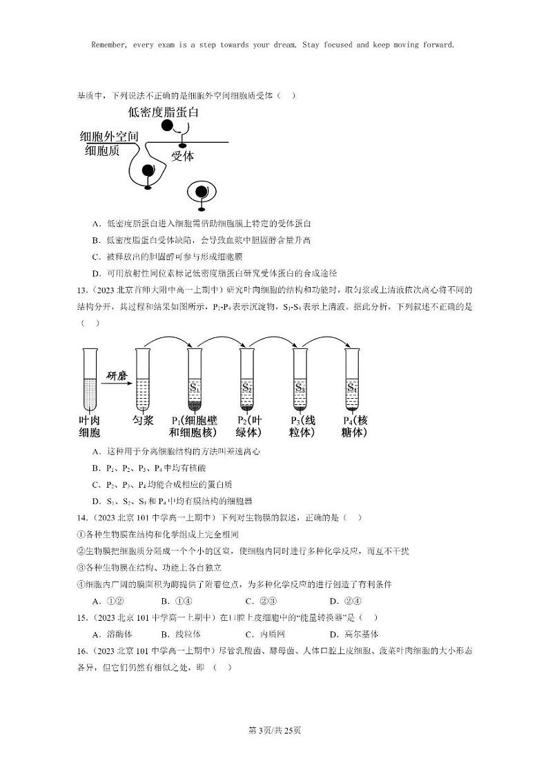 [生物]2023北京重点校高一上学期期中生物真题分类汇编：细胞器之间的分工合作(单选题)第3页