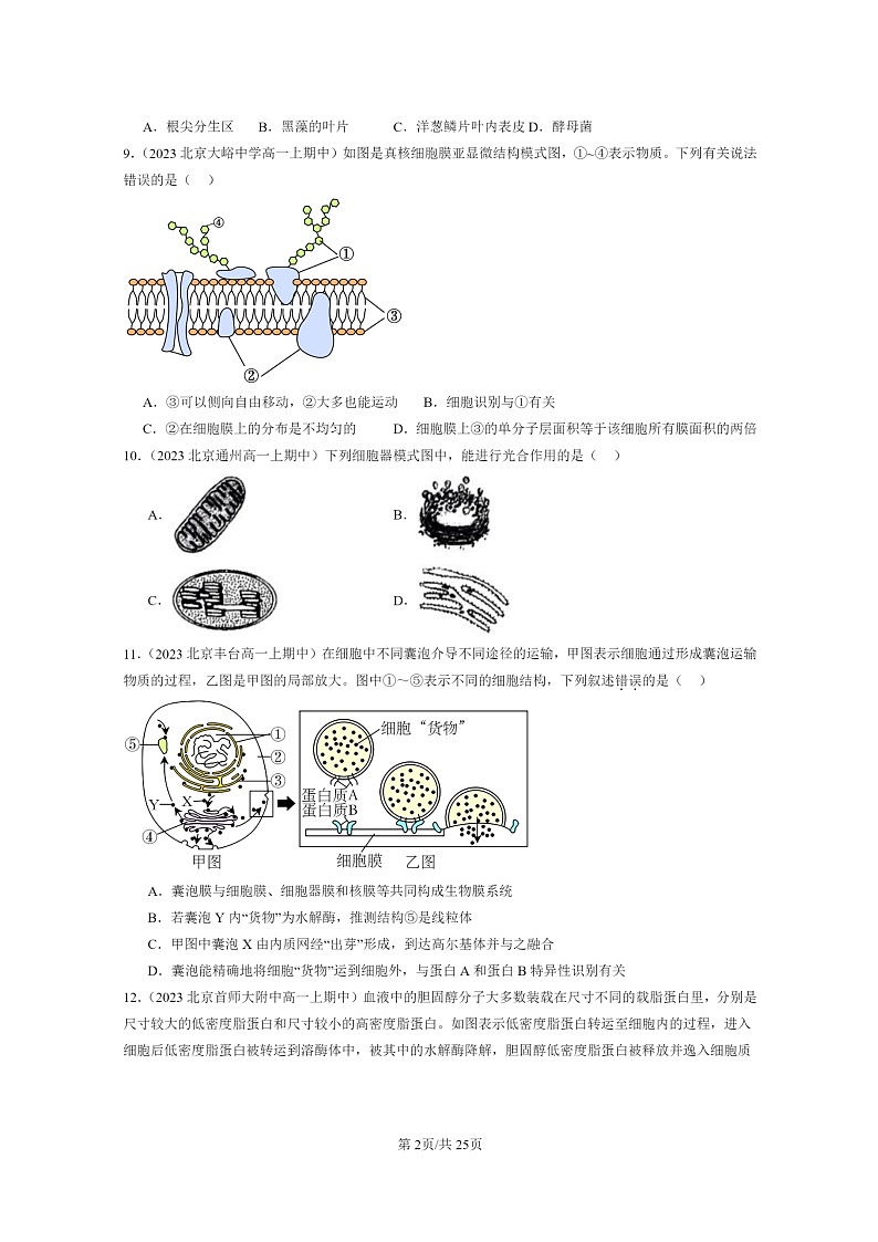 [生物]2023北京重点校高一上学期期中生物真题分类汇编：细胞器之间的分工合作(单选题)第2页