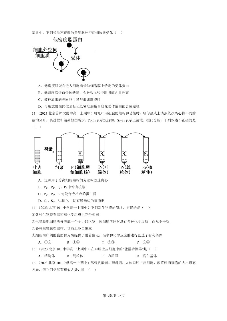 [生物]2023北京重点校高一上学期期中生物真题分类汇编：细胞器之间的分工合作(单选题)第3页