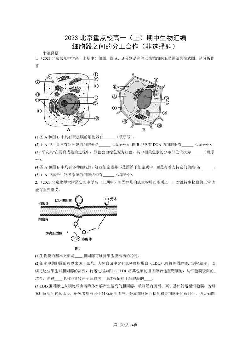 [生物]2023北京重点校高一上学期期中生物真题分类汇编：细胞器之间的分工合作(非选择题)第1页