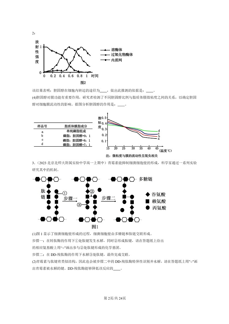 [生物]2023北京重点校高一上学期期中生物真题分类汇编：细胞器之间的分工合作(非选择题)第2页