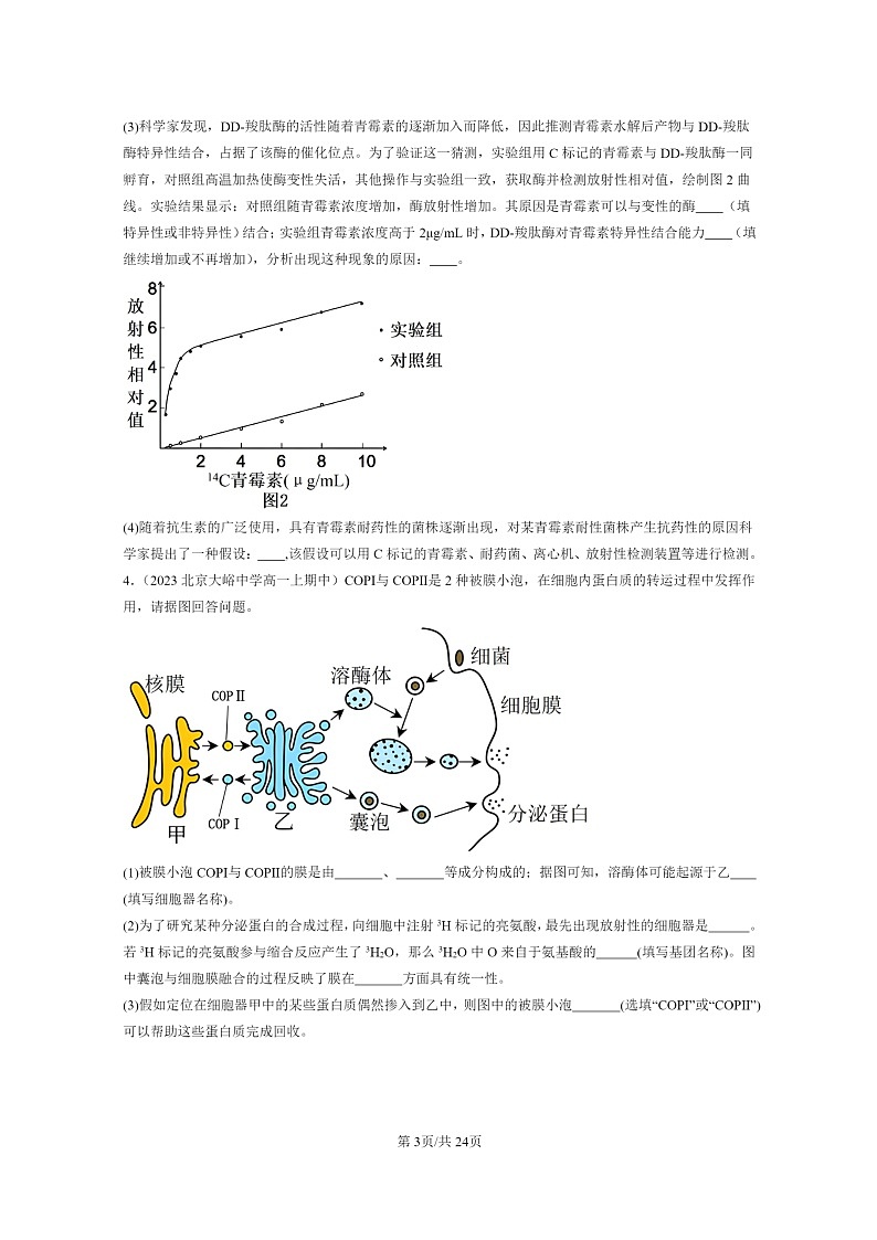 [生物]2023北京重点校高一上学期期中生物真题分类汇编：细胞器之间的分工合作(非选择题)第3页