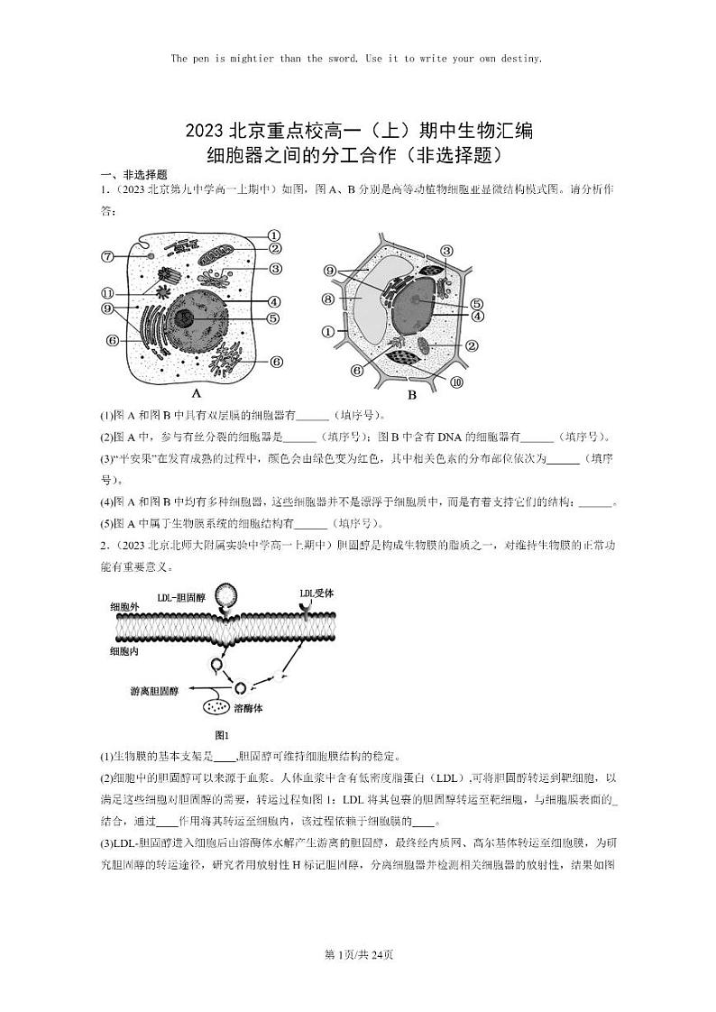 [生物]2023北京重点校高一上学期期中生物真题分类汇编：细胞器之间的分工合作(非选择题)第1页
