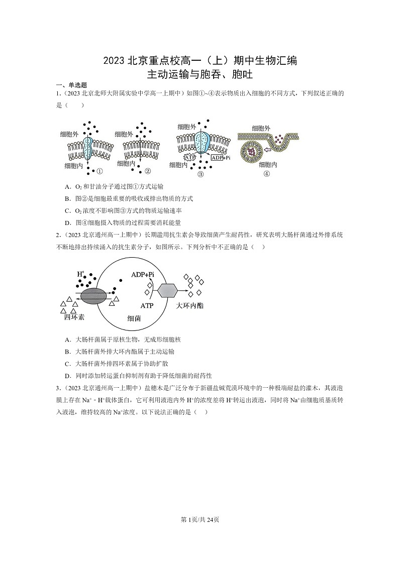 [生物]2023北京重点校高一上学期期中生物真题分类汇编：主动运输与胞吞、胞吐第1页
