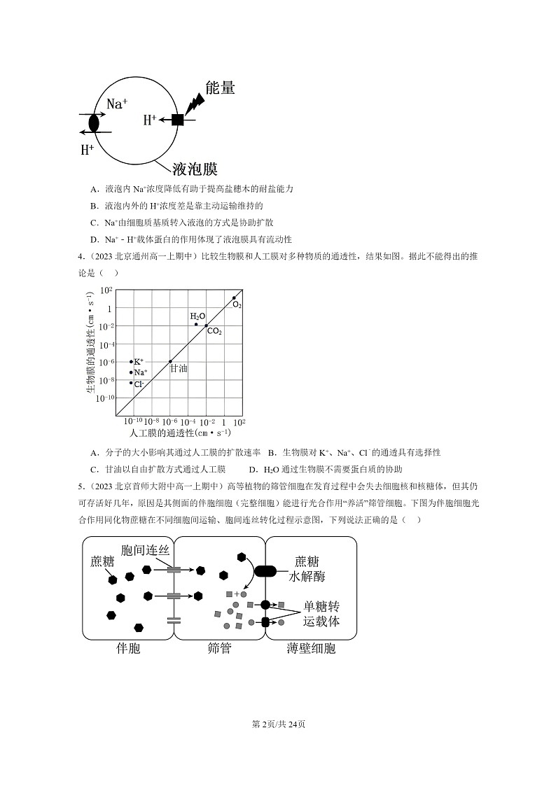[生物]2023北京重点校高一上学期期中生物真题分类汇编：主动运输与胞吞、胞吐第2页